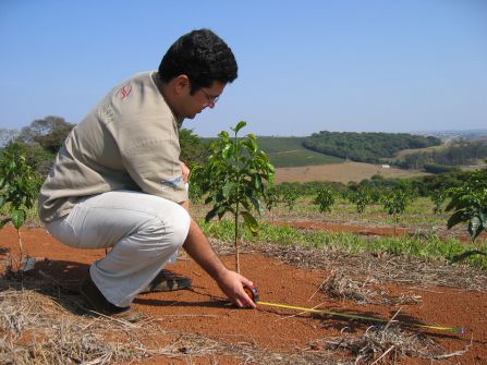 Fazenda Samambaia1