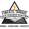 GUATEMALAN Finca EL Tanque
