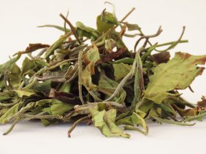 The Nilgiri Tea Company Peony White tea
