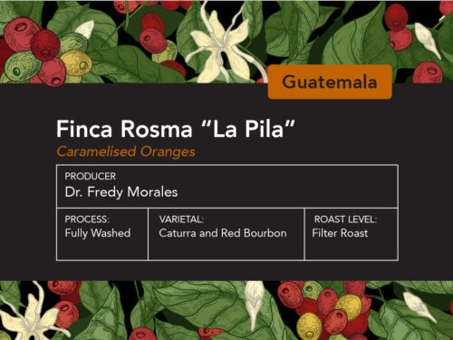 Guatemala Finca Rosma La Pila Filter Roast.